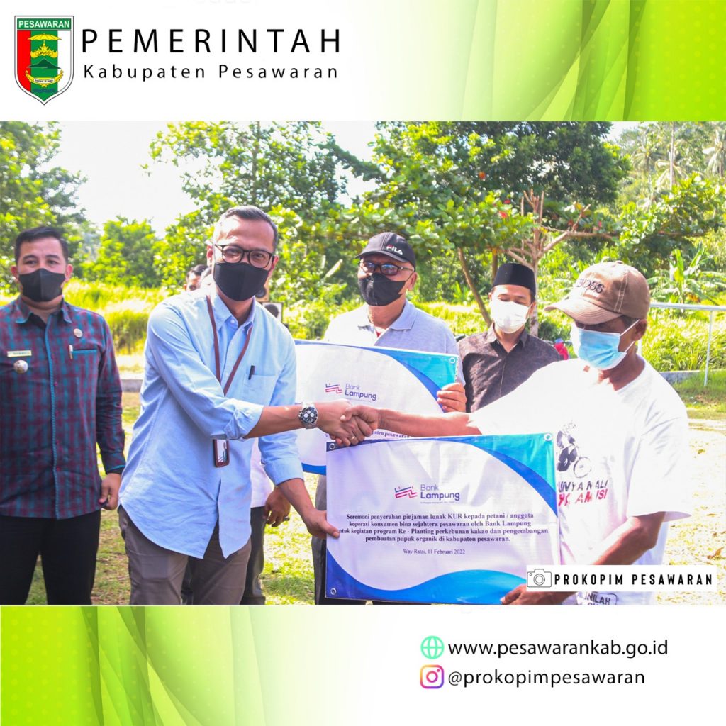 BUPATI PESAWARAN MENGHADIRI LAUNCHING PROGRAM REPLANTING KAKAO MCC 02 DI WILAYAH KABUPATEN PESAWARAN PROVINSI LAMPUNG YANG DILAKSANAKAN KOPERASI KONSUMEN BINA SEJAHTERA PESAWARAN BERSAMA BANK LAMPUNG