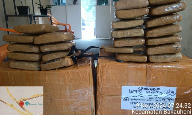 Tim Terpadu Seaport Interdiction Bakauheni Gagalkan Penyelundupan Pekat Ganja dari Mobil Ekspedisi