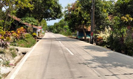 Pembangunan Infrastruktur Jalan Provinsi Banten Di Kecamatan Mancak Telah Selesai Dan Berjalan Dengan Baik