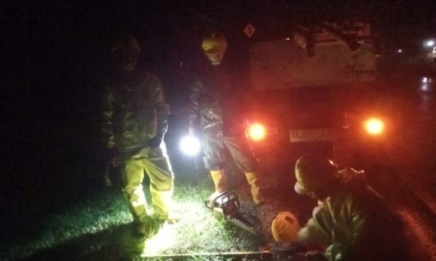 Jaga Keandalan di Hari Raya Paskah, PLN Gerak Cepat Pulihkan Gangguan Akibat Cuaca Buruk di Lampung