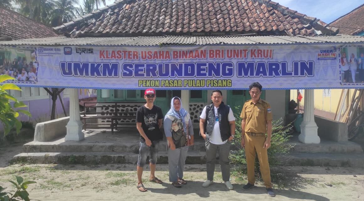 Menerjang Ombak Demi Peningkatan Ekonomi di Pulau Pisang, BRI Unit Krui Kanca Liwa Hadir Layani Masyarakat