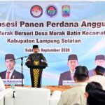 Kebun Anggur BUMDes Merak Batin Curi Perhatian Mendes PDT, Harapan Baru Ekonomi Warga Mulai Berbuah