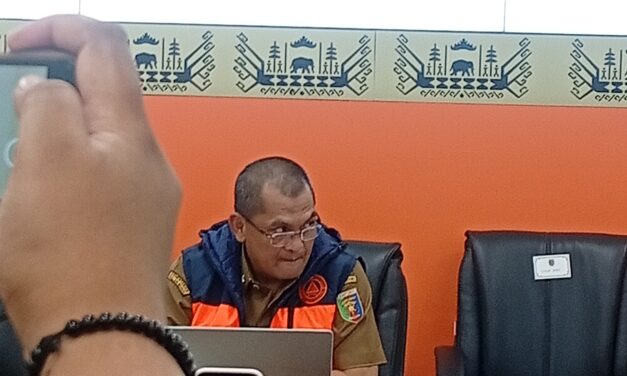 Titik Api di Way Kambas Berhasil Dipadamkan, Jarak 14 Kilometer dari Pusat Latihan Gajah